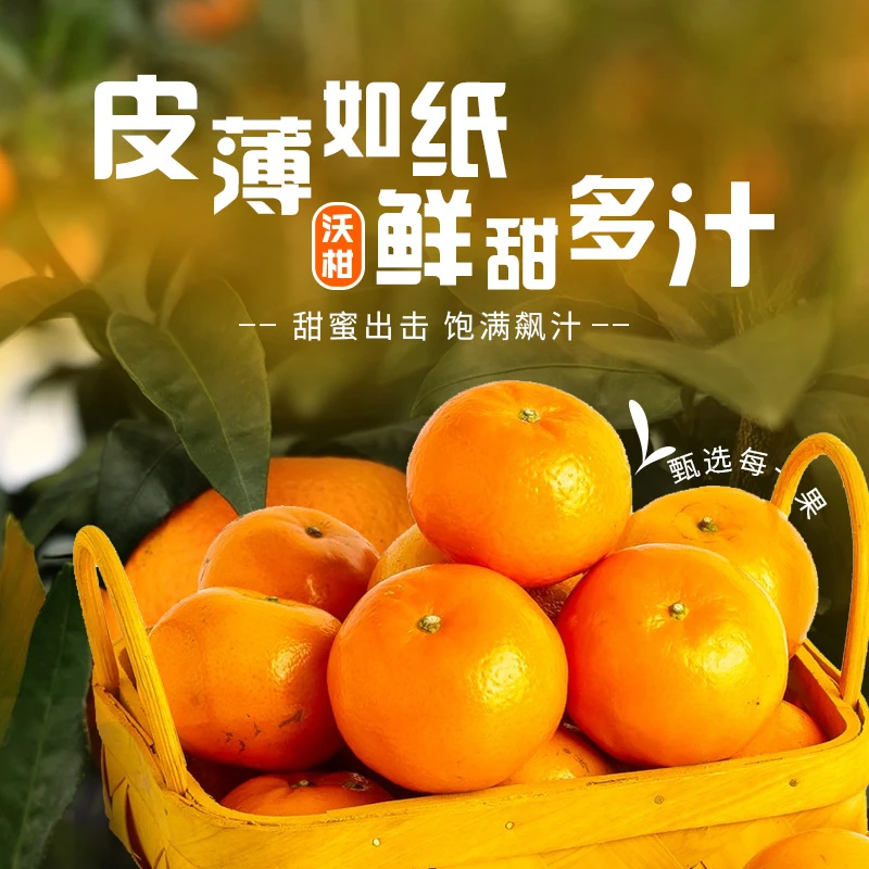 【新号开播】广西武鸣沃柑 皮薄甜蜜优质新鲜香甜多汁泡沫箱