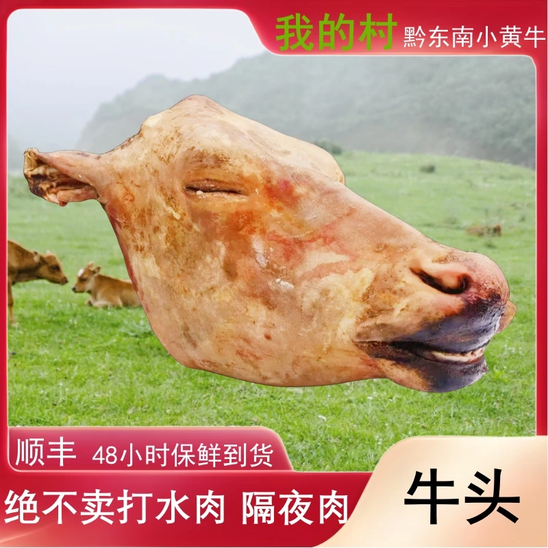 【新鲜去骨黄牛头】 我的村-现切新鲜牛肉正宗带皮牛肉牛头去骨贵州