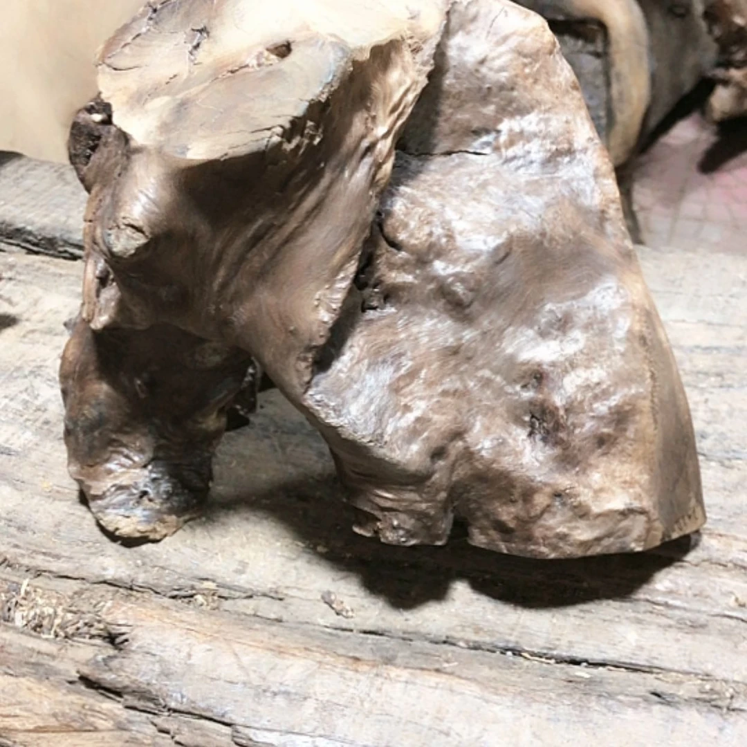 【闪购商品】红贵宝亲*