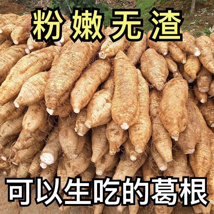 T正宗藤县和平粉葛广西新鲜葛根煲汤葛根粉原味现挖葛署粉嫩无渣