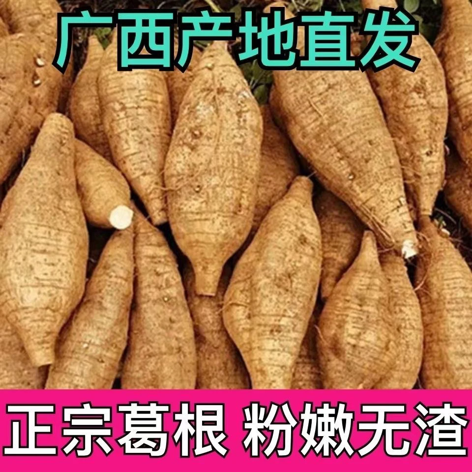 藤县正宗和平粉葛广西新鲜葛根煲汤葛根粉原味现挖葛署粉嫩无渣
