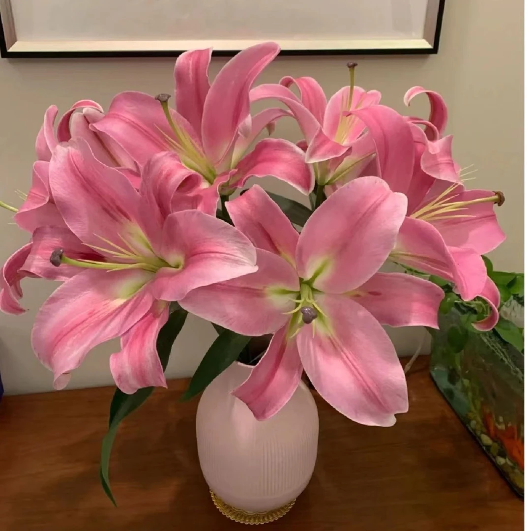 【老王家的鲜花】普拉分多香水百合 （冻坏不售后）防止冬青