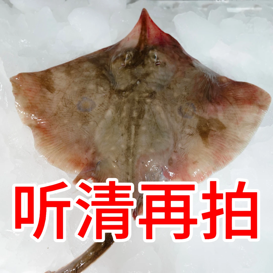 （新鲜老板鱼肝）3斤鱼肝 特别香 滑嫩香甜鳐鱼 华子鱼 魔鬼鱼