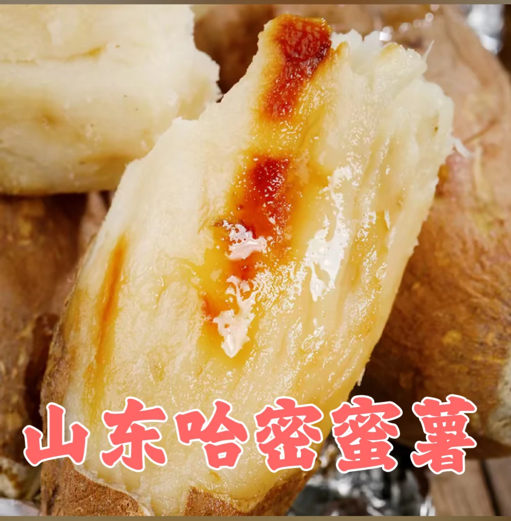 山东沂蒙山区哈密蜜蜜薯冰糖薯白心薯粉糯香面甜净重5斤哈密白薯