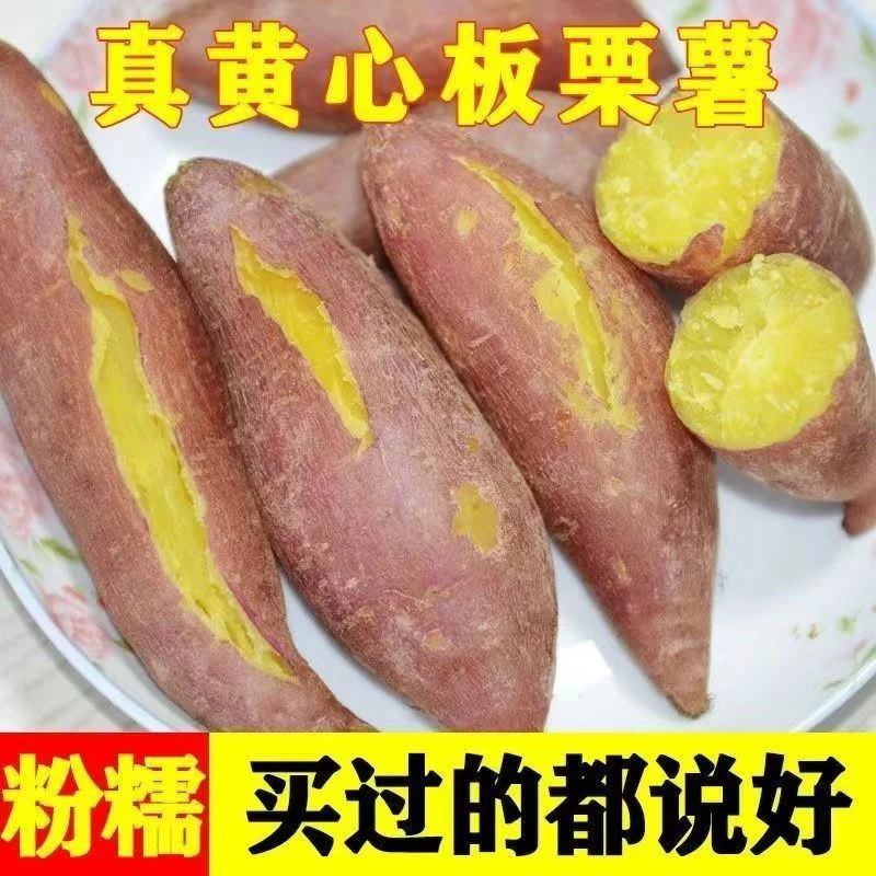 黄心板栗红薯山东沙地板栗薯香甜新鲜黄心蜜薯粉糯口感净重5斤装
