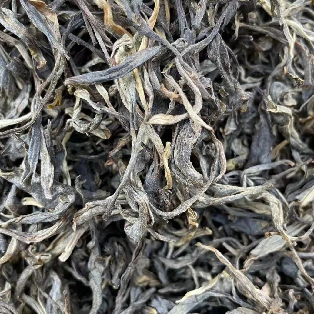 石茗源普洱生茶 25年某有林古树散料