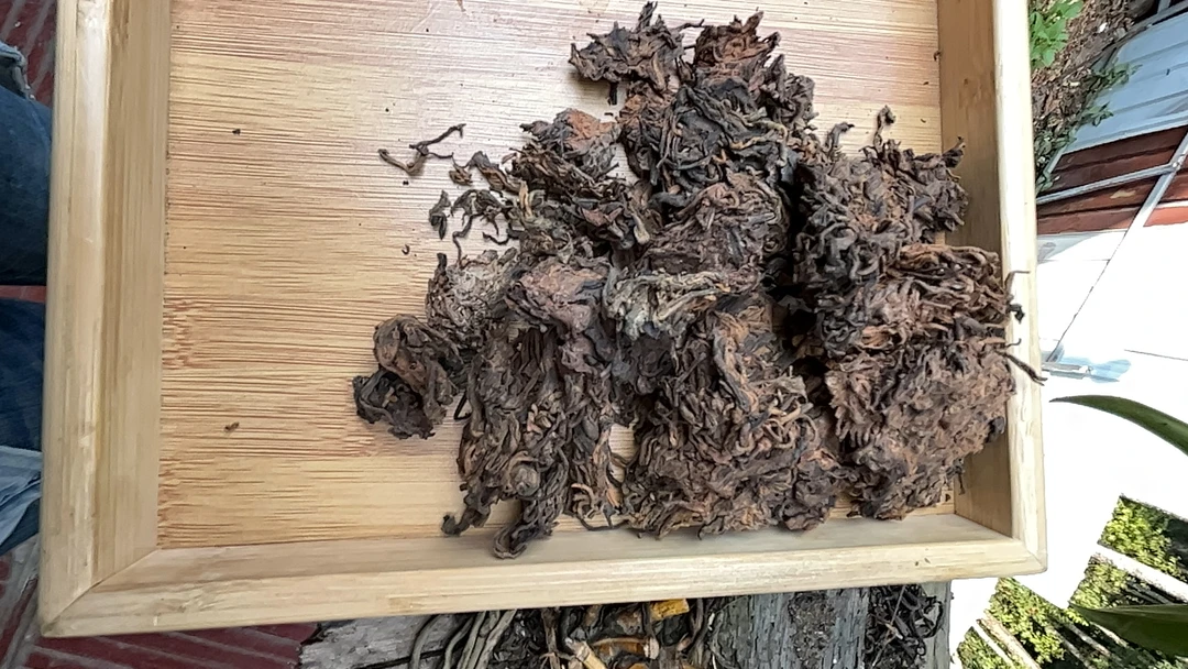 石茗源24年大饼野生古树熟茶茶头
