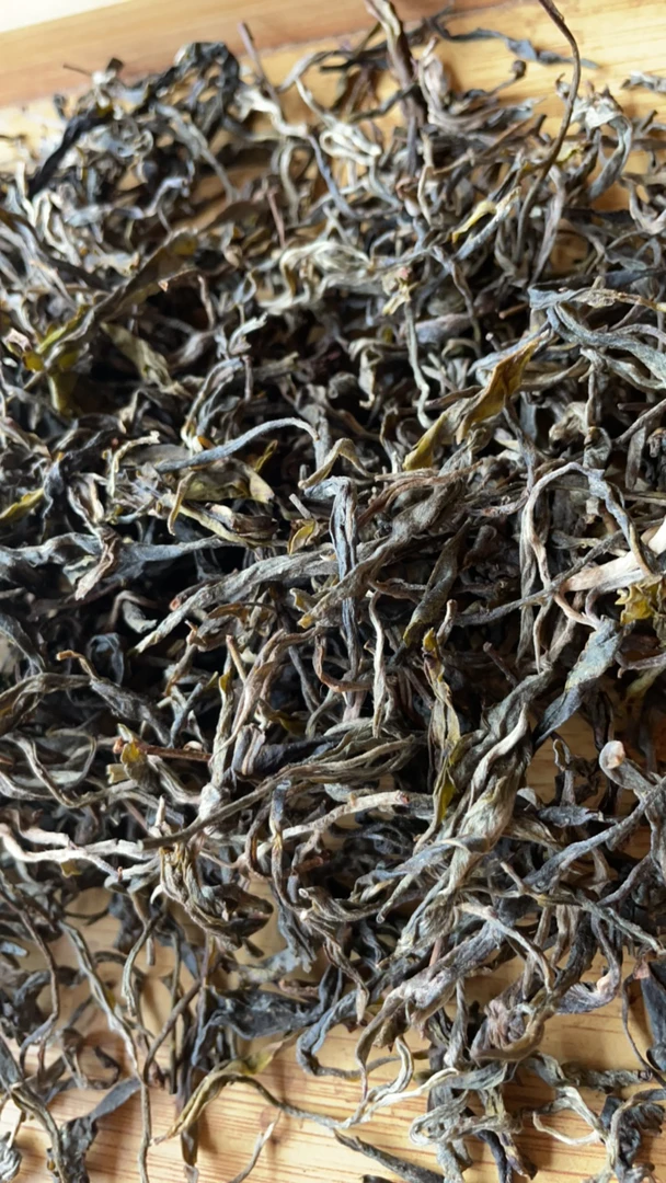 2024石茗源“古树高杆”