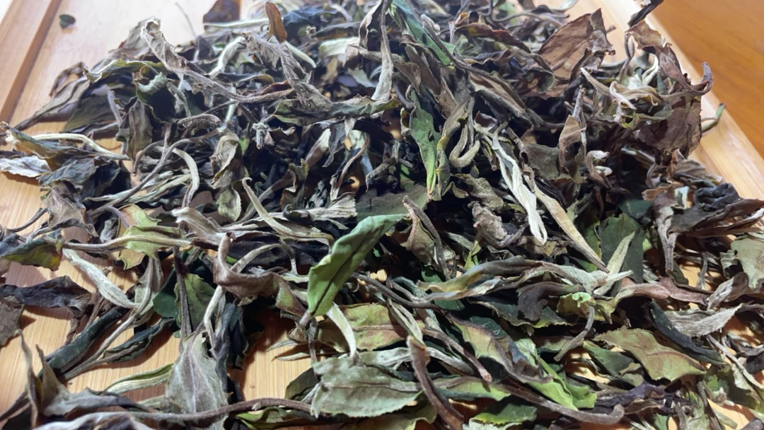 石茗源2025年原始林古树春白散茶