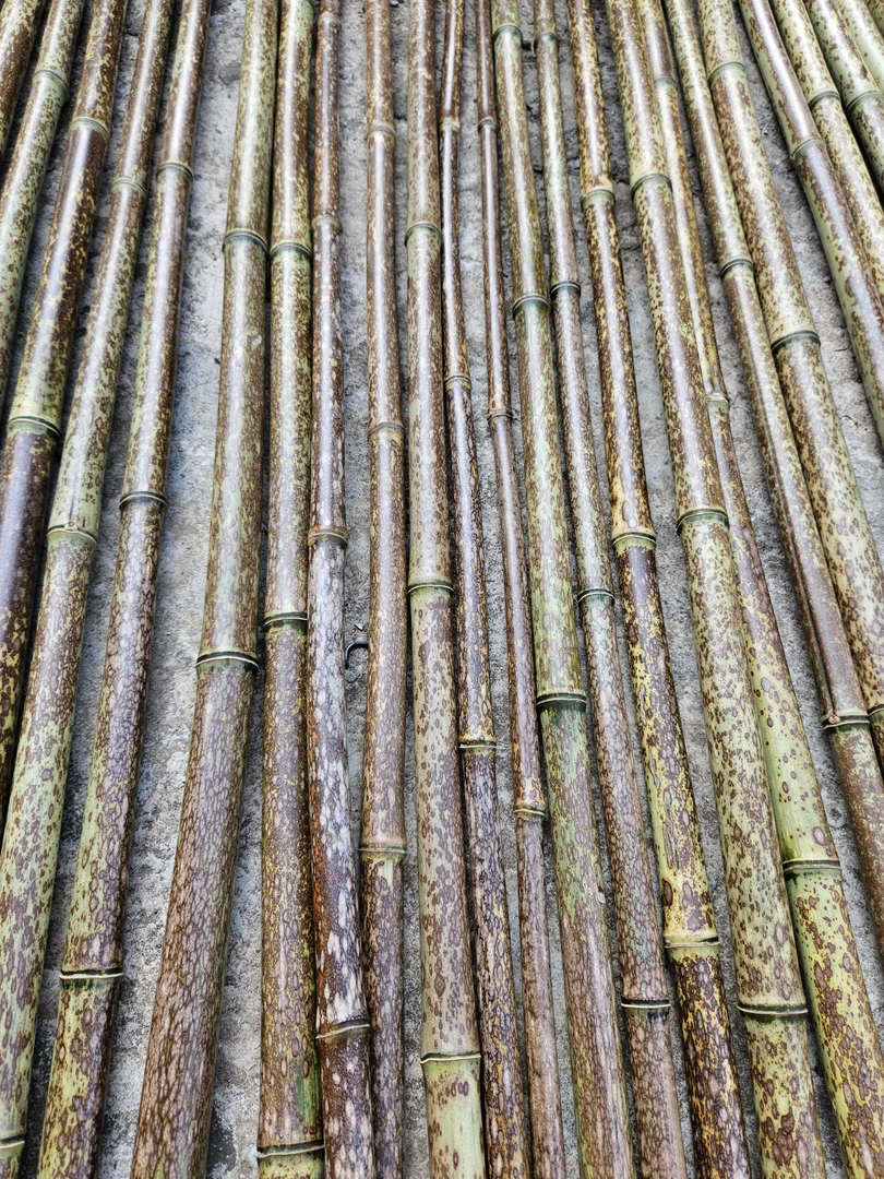 各类竹萧料，扇料等，直播间挑料子付米专用f