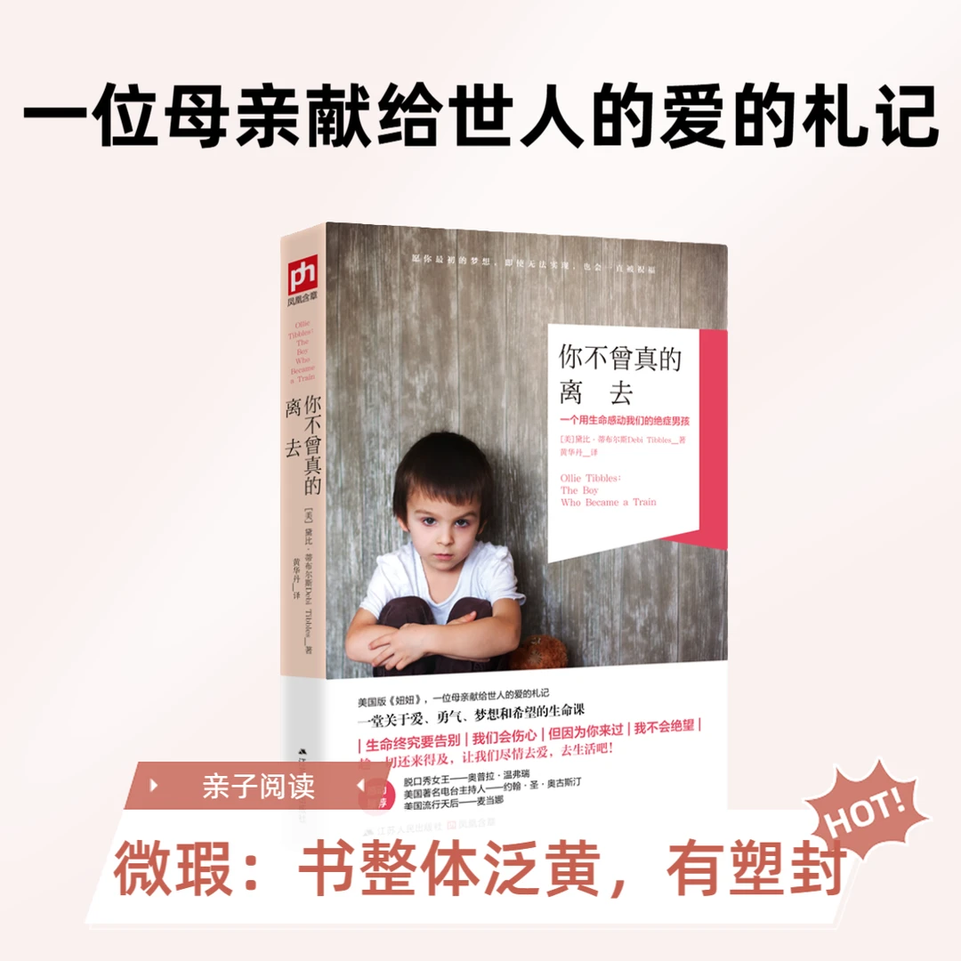 泛黄微瑕：你不曾真的离去：一位母亲献给世人的爱的札记自救书籍
