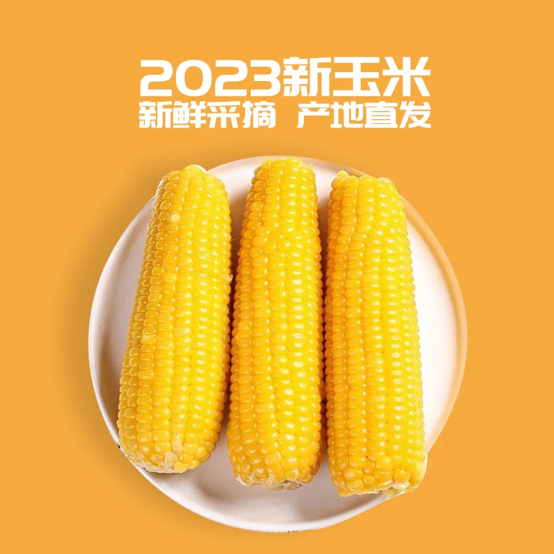 牡丹江头茬鲜食黄糯玉米拍8根送4根新鲜采摘产地直发高膳食纤维