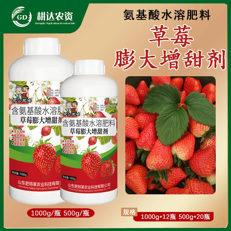草梅膨大增甜剂草莓专用肥增甜膨大增色安全无残留不含激素