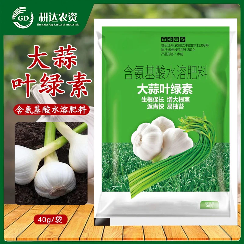 大蒜叶绿素生根促长增大根茎促返青易抽苔绿叶返青快