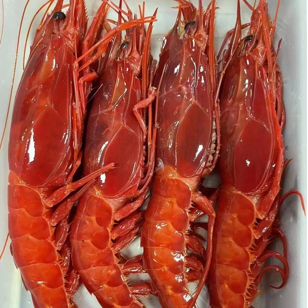 红魔虾深海活冻刺身红魔虾顺丰包邮