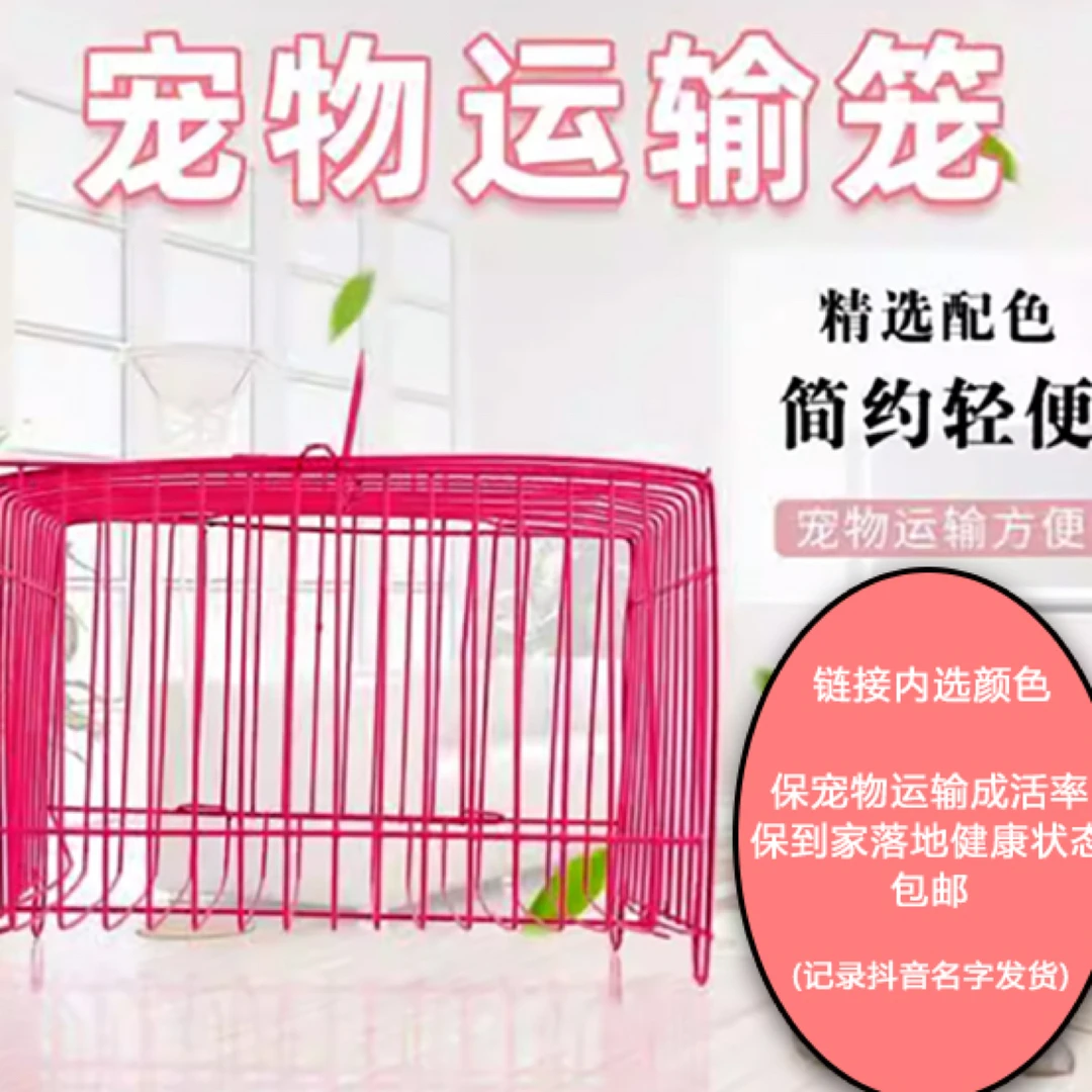 活货运输笼子纸箱饲养保运输到家活教程喂奶管出门绳