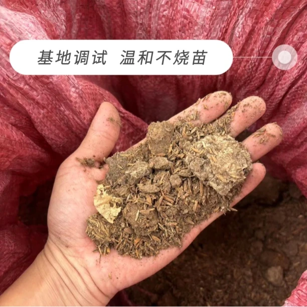 【三角梅基地专用调制鸭粪土】爆花神器适（阴干易存放）
