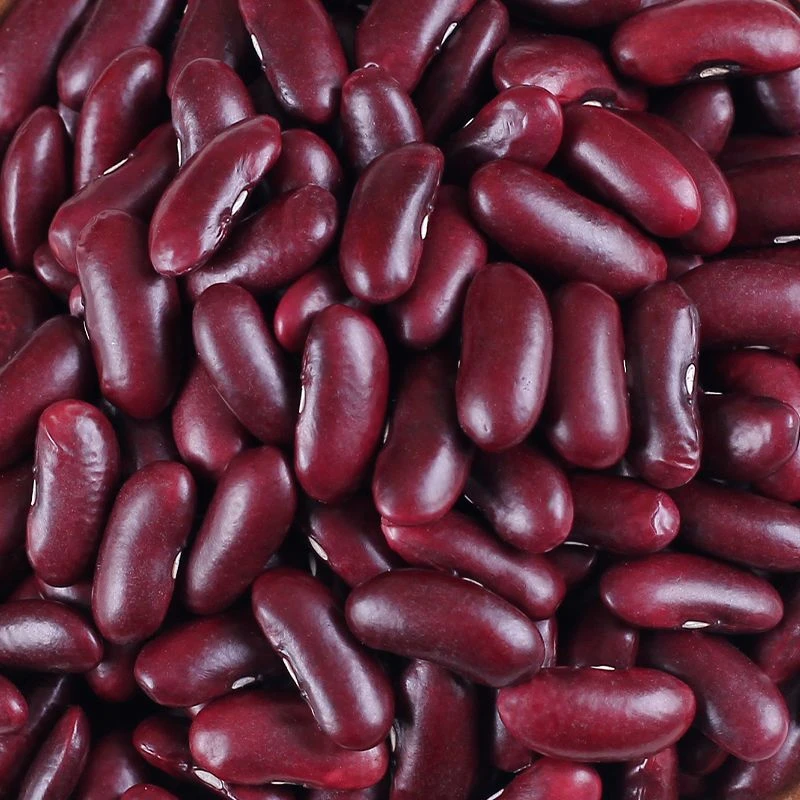 秦岭深山红腰豆/红芸豆