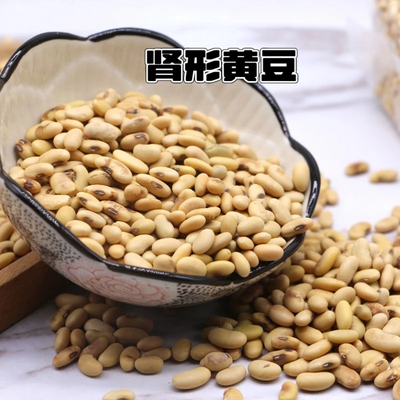 古老肾形黄豆/老品种黄豆