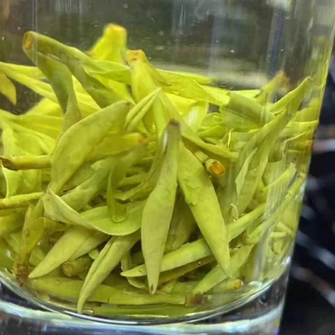 龙井茶【太香 太豆 太好喝】