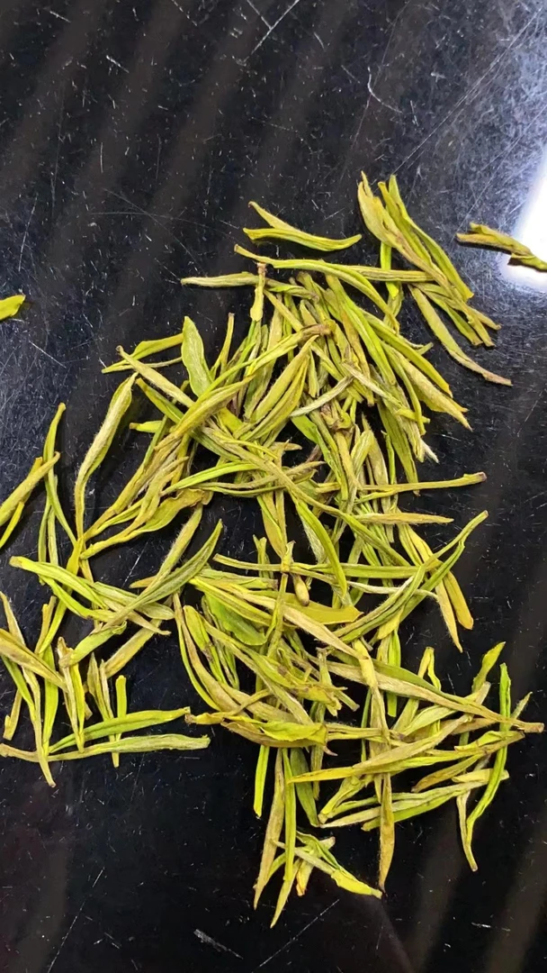 【B450 】嫩芽 黄金芽【都说好喝】