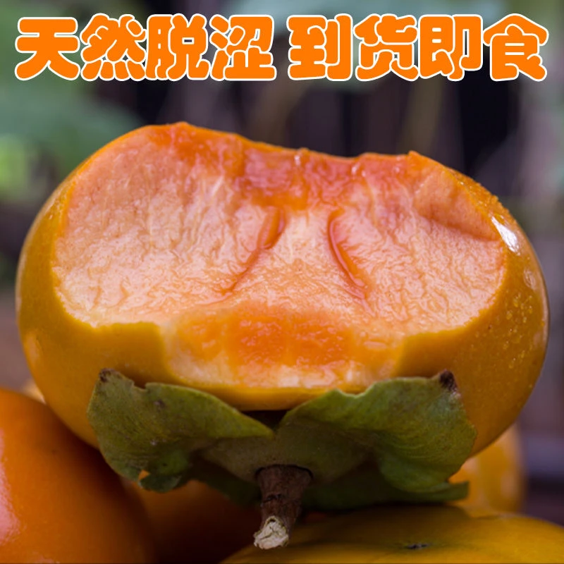 【坏果包赔】陕西阳丰巧克力脆柿硬柿子黄金香甜脆柿3/5斤农家采摘