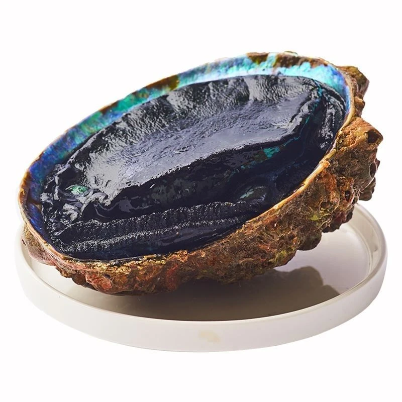 【顺丰空运】新西兰进口活冻黑金鲍 整只400g以上深海捕捞肉质肥美