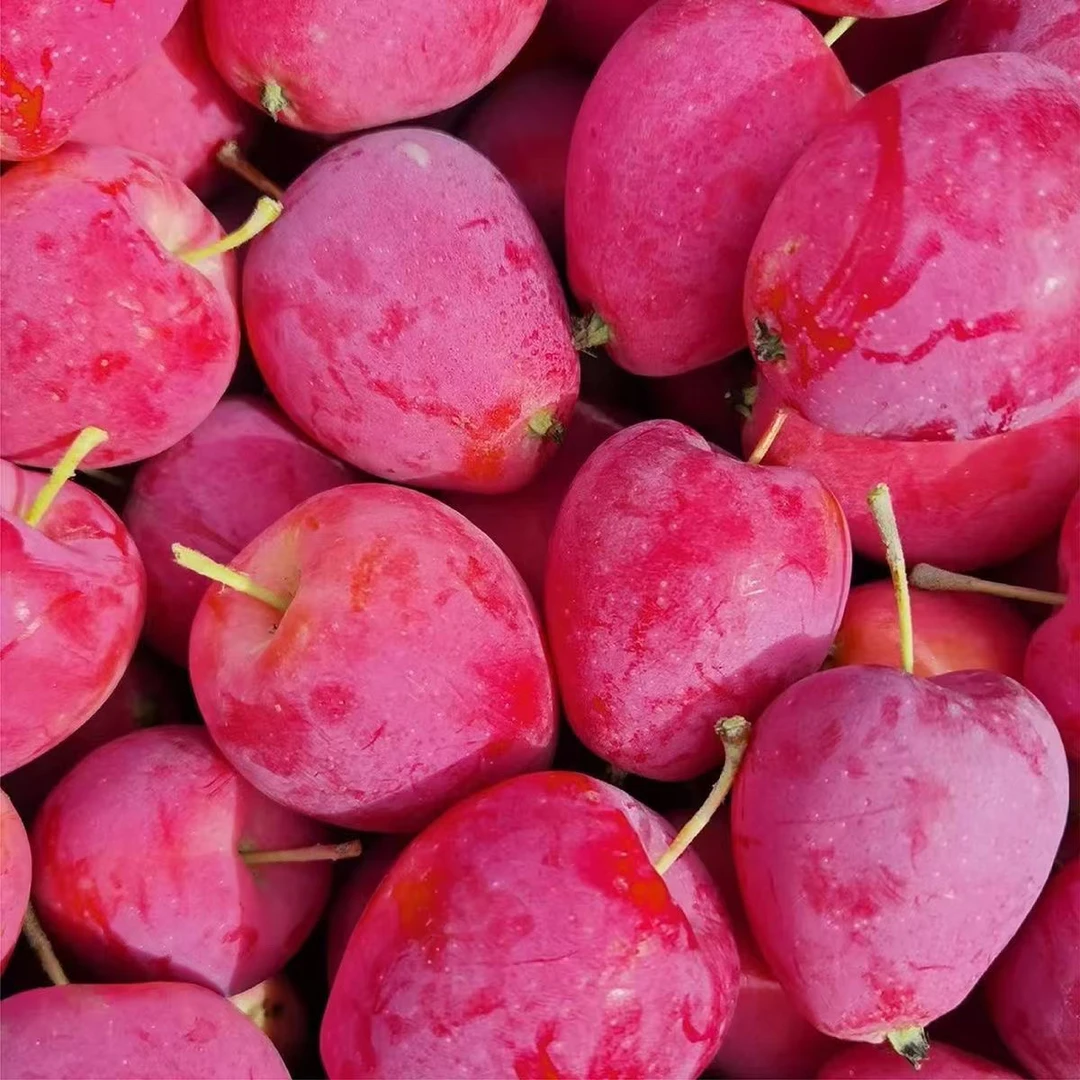 【顺丰包邮】东北特产鸡心果新鲜小苹果锦绣海棠果应季水果脆甜多汁