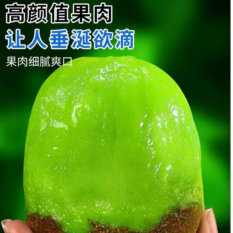 【坏果包赔】正宗陕西徐香猕猴桃10-30个新鲜香甜软糯鲜嫩发货现摘