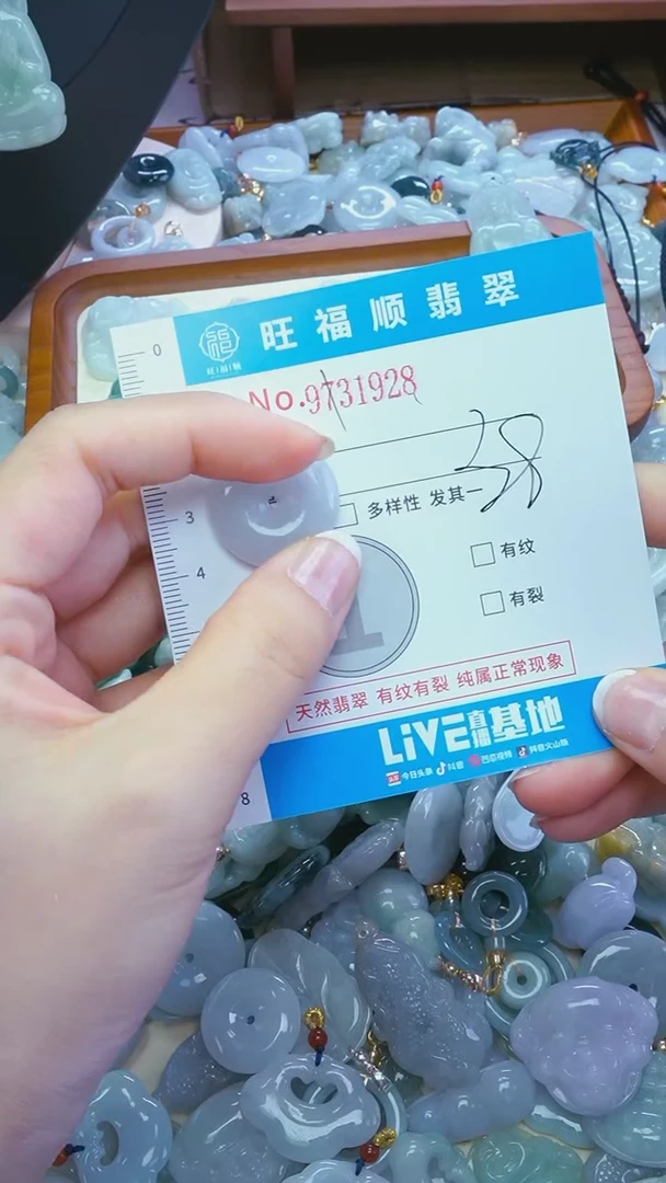 【闪购商品】翡翠颈饰未镶嵌吊坠配绳