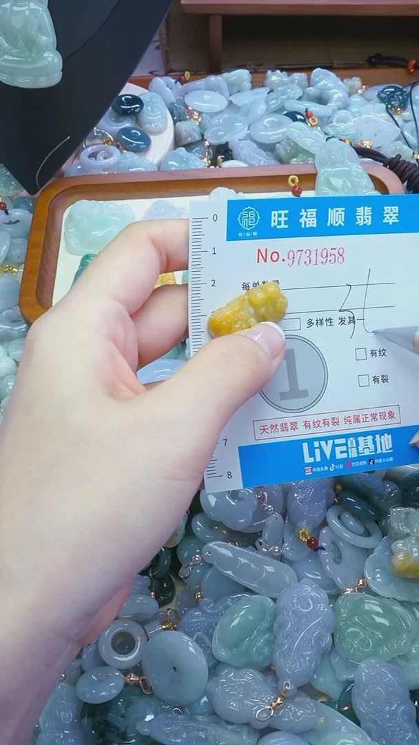 【闪购商品】翡翠颈饰未镶嵌吊坠配绳