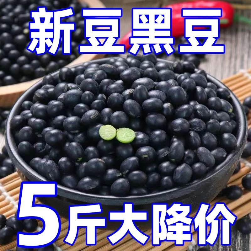 5斤大降价！】东北绿芯黑豆老家五谷杂粮黑豆煮粥便宜批发