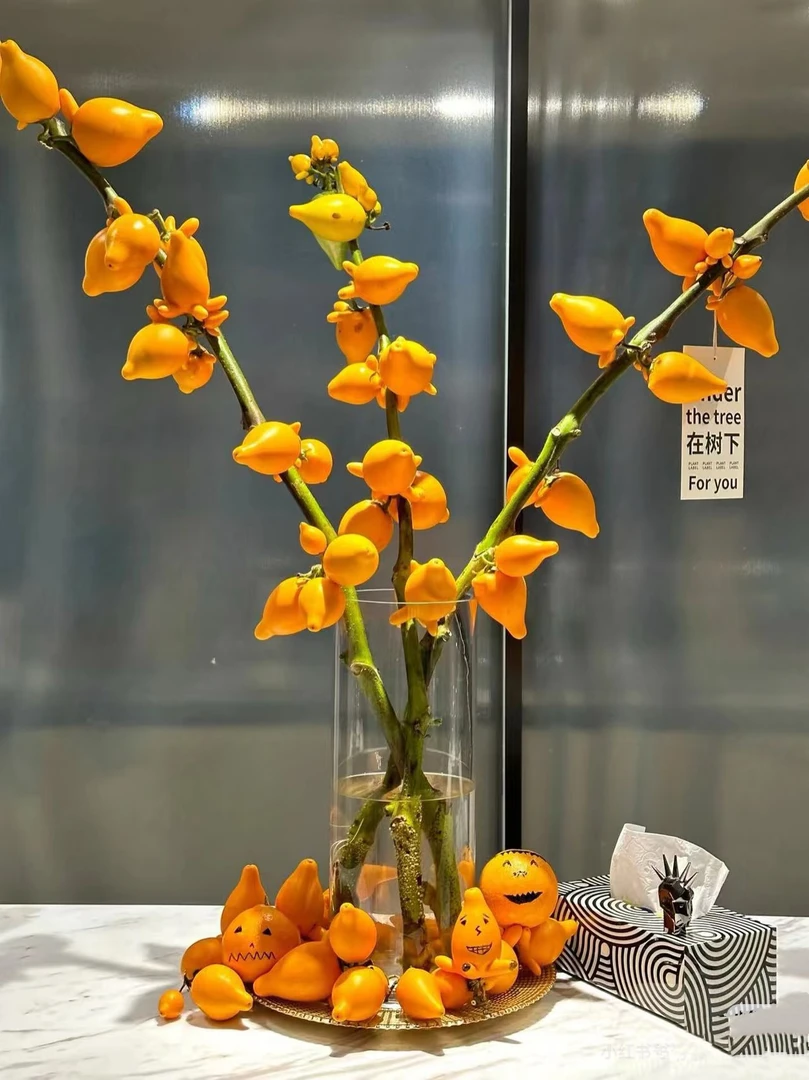 金玉满堂小猪佩奇五代同堂果100-120公分适合懒人可做干花