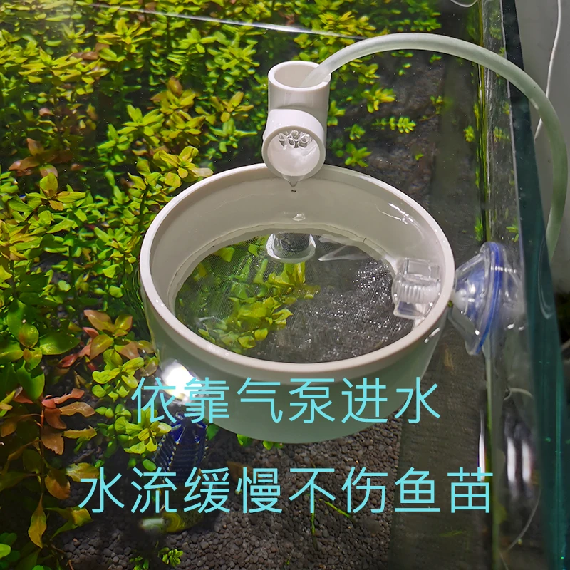 鱼苗繁殖孵化隔离框孔雀鱼苗养殖隔离气举式幼苗暂养框金鱼孵化盒