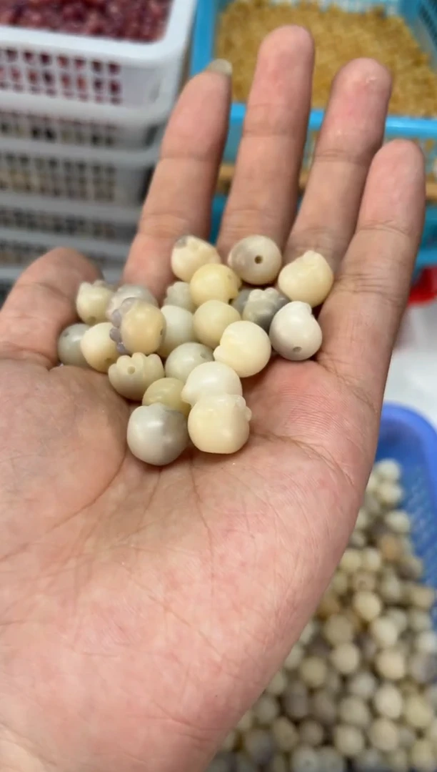 【闪购商品】菩提根/象牙果吊坠紫飘猫爪  60颗