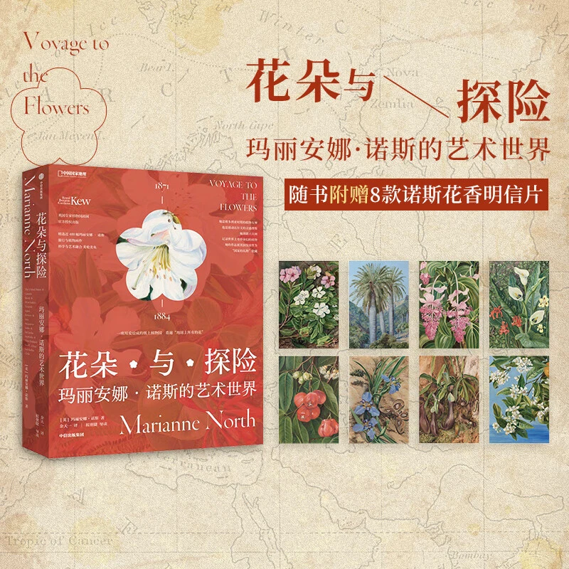 花朵与探险 : 玛丽安娜·诺斯的艺术世界 花朵精装画册