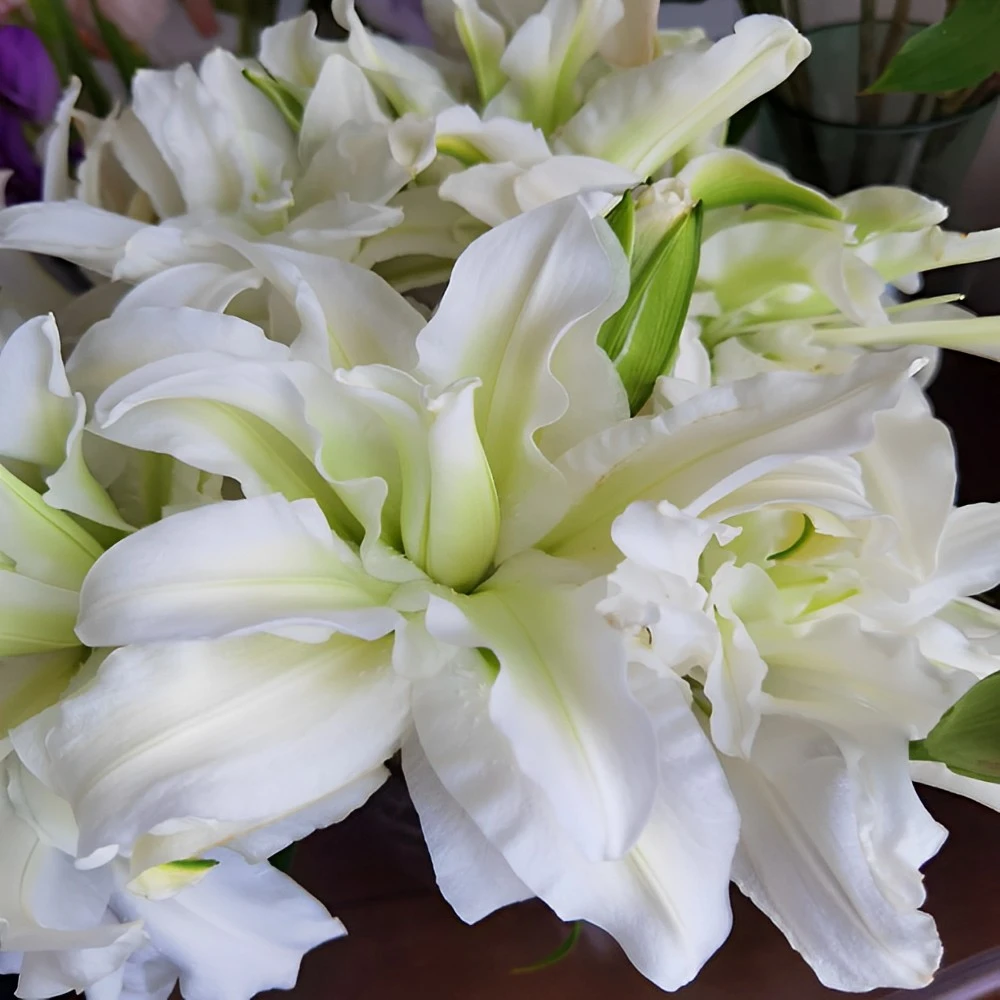 爱莎重瓣百合鲜花云南昆明基地直发办公室家用商务插花百合花漂亮