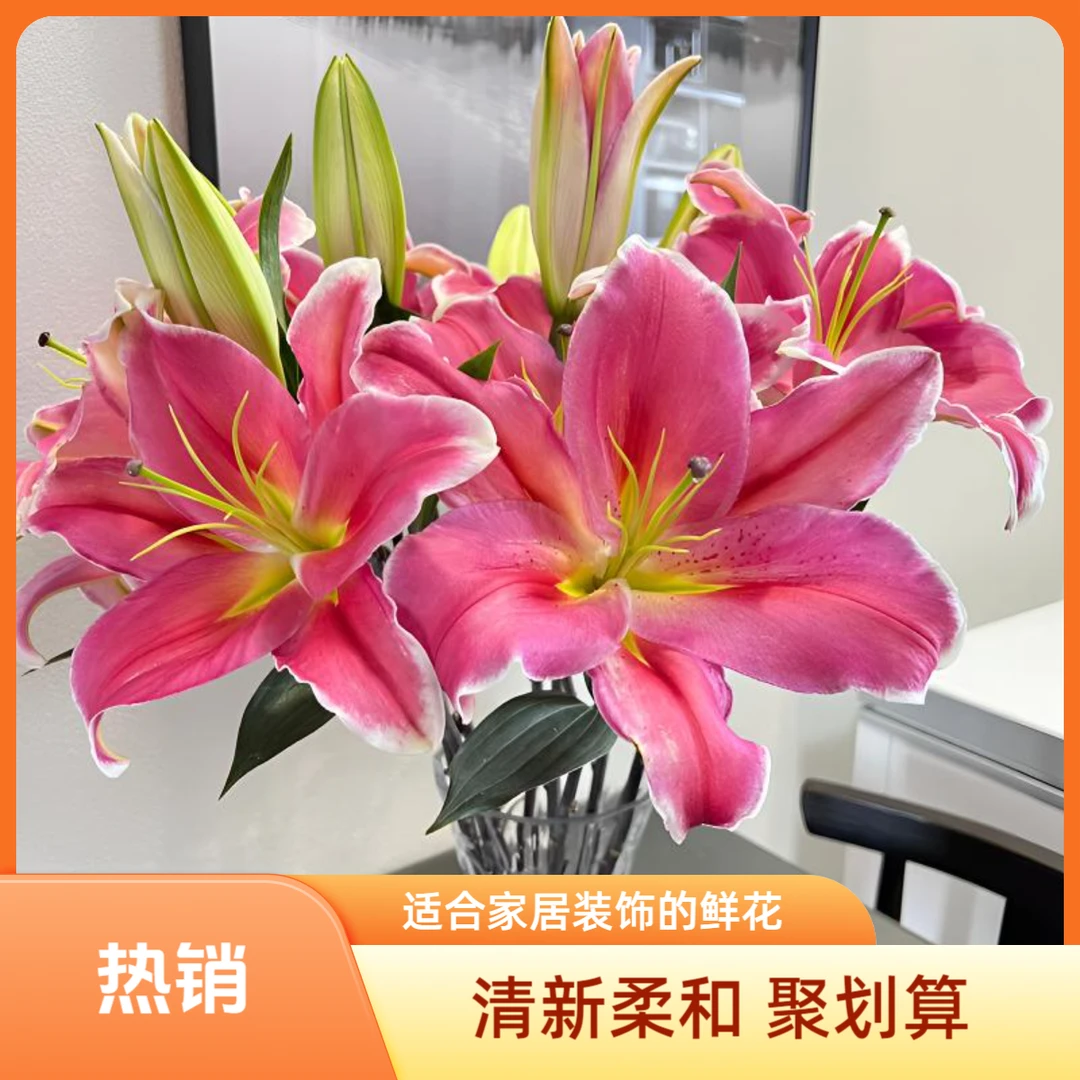【鸿运当头】香水百合花云南基地直发水养百合云南直发花卉鲜花