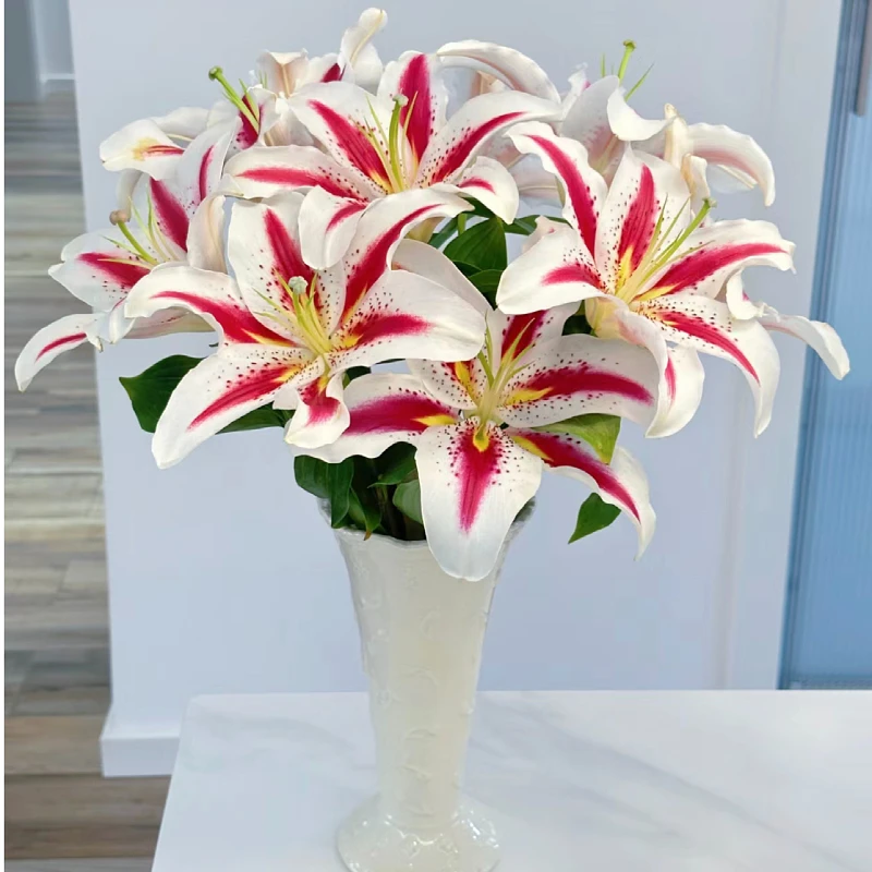 笑脸香水百合鲜花 水养易活清香持久 室内水培 新手友好 鲜活直达