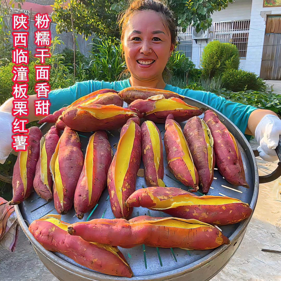 南谷鑫域陕西红薯临潼板栗红薯3/5/9斤香甜食用肉厚肉质健康种植