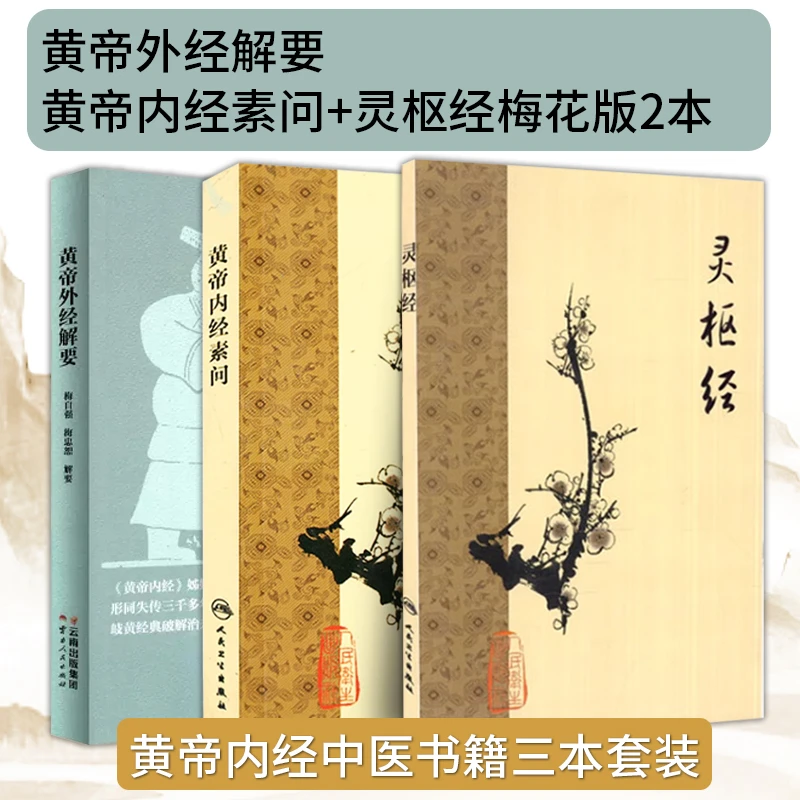 【全3册】黄帝外经解要 黄帝内经姊妹篇+梅花版黄帝内经素问灵枢经