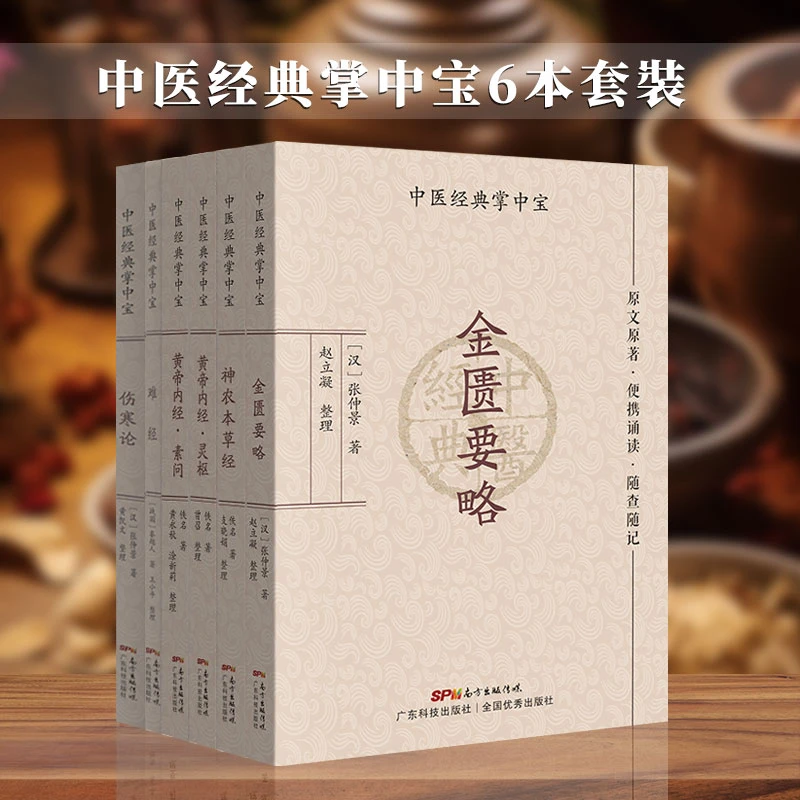全6册 中医经典掌中宝黄帝内经灵枢伤寒论神农本草经等便携诵读