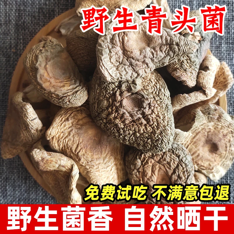 青头菌干货野生蘑菇特选优质青菇炖汤炒食口感脆嫩250g