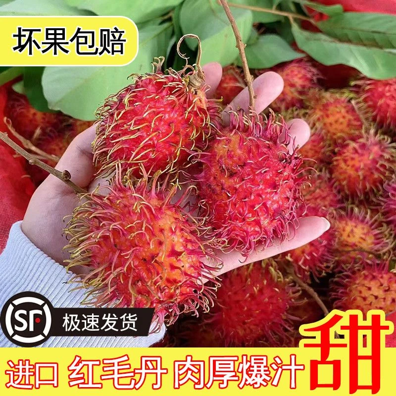 新鲜红毛丹当季大果毛枸杞荔枝爆甜孕妇水果整箱水果
