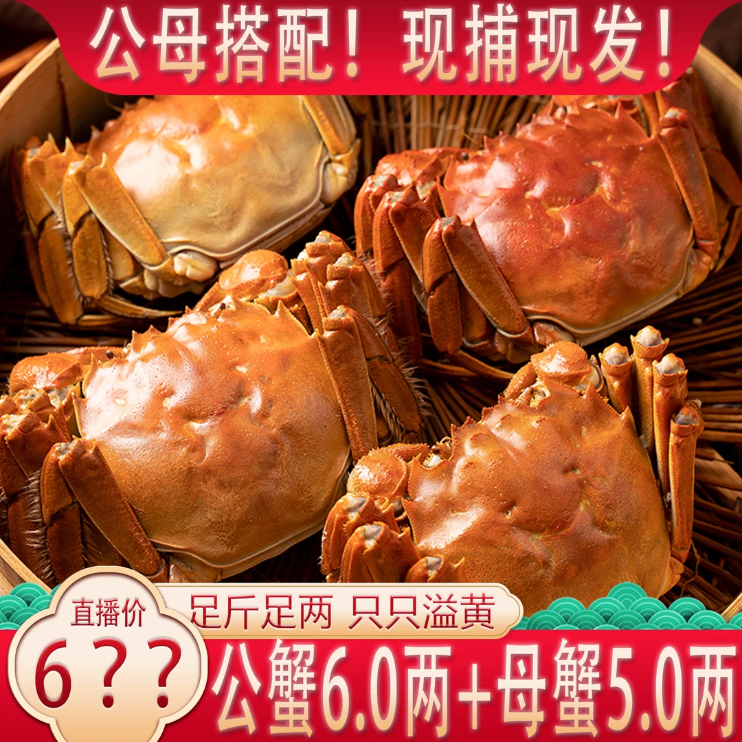 【活蟹】公6.0两+母5.0两【公母搭配】【巨无霸】6只 固城湖大闸蟹T6
