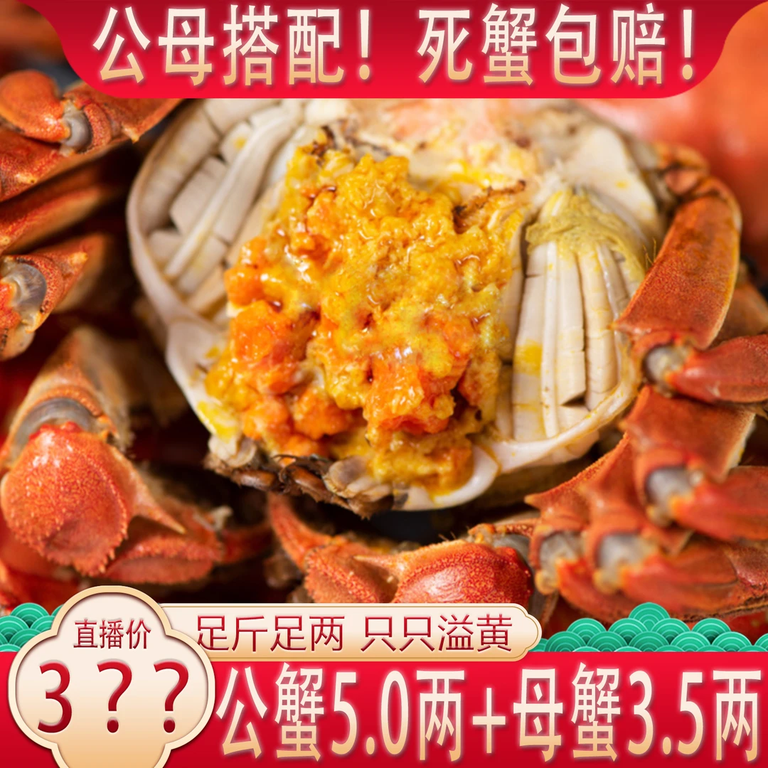 【活蟹】公5.0两+母3.5两【公母搭配】【顶壳肥】10只 固城湖大闸蟹T10N