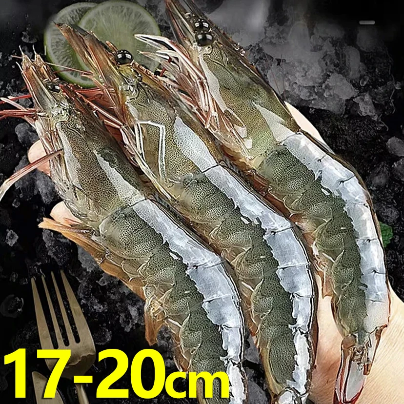 J海洋大虾约17-20cm/只 净重约3斤保鲜约40-51只 活虾速冻非活发