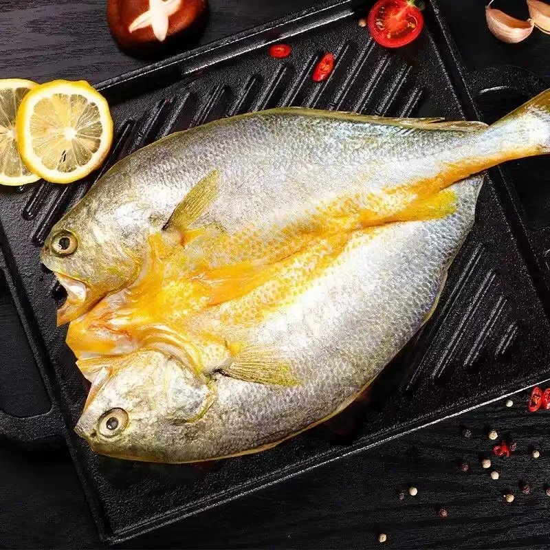 J大黄鱼9条（代杀有盐）杀前6斤杀后4.2斤包邮 广东双仓发货