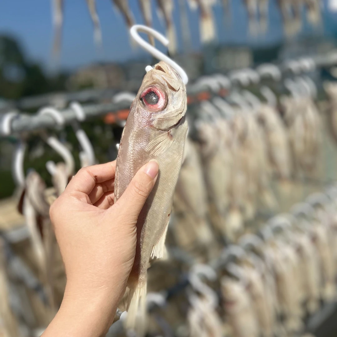 咸香大眼鱼干1斤  红目鲢鱼大眼鸡大目鱼广东新晒海产干货