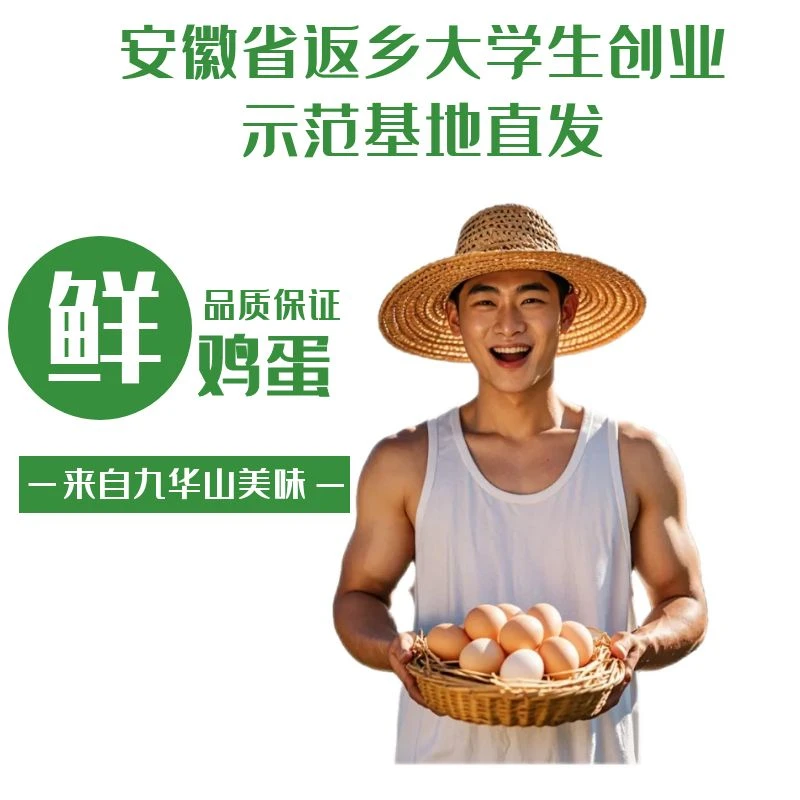 散养鸡蛋皖南山林散养土鸡蛋100枚装天然营养新鲜土鸡蛋山里农场